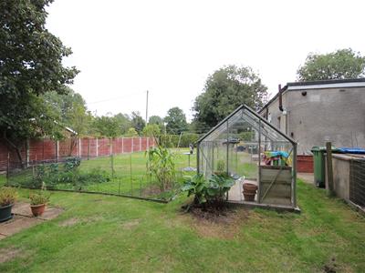 Picture 26